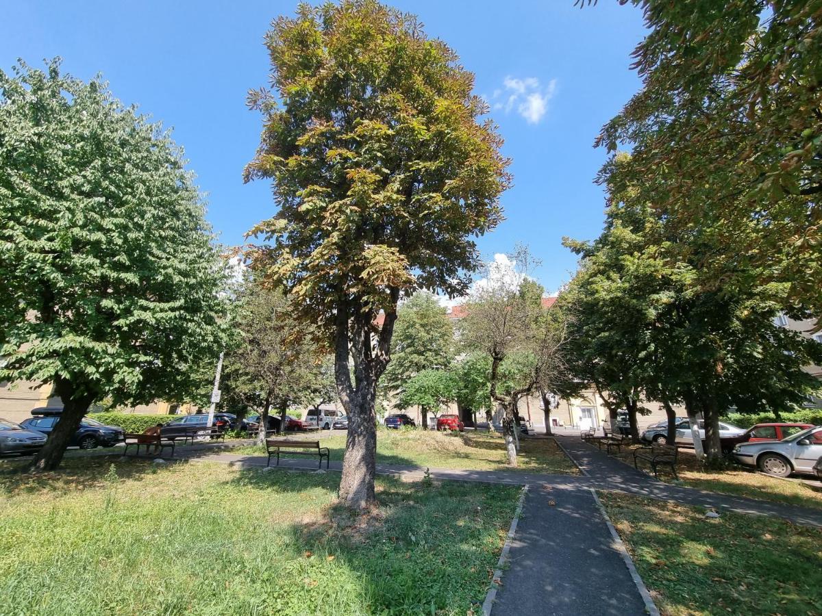 Ultra-Central 1 Bed Apartment, Str Nicolae Iorga Baia Mare Zewnętrze zdjęcie